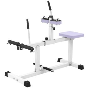 Adjustable Steel Seated Calf Raise Exercise Strength Training Gym Equipment, Purple (Option: Purple-1090x480x150 mm)